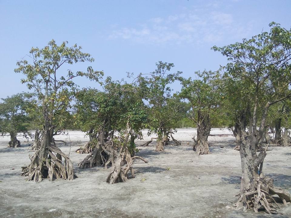 Tropical Bliss: Unspoiled Kolatoli Beach Awaits in the Chittagong Hill Tracts